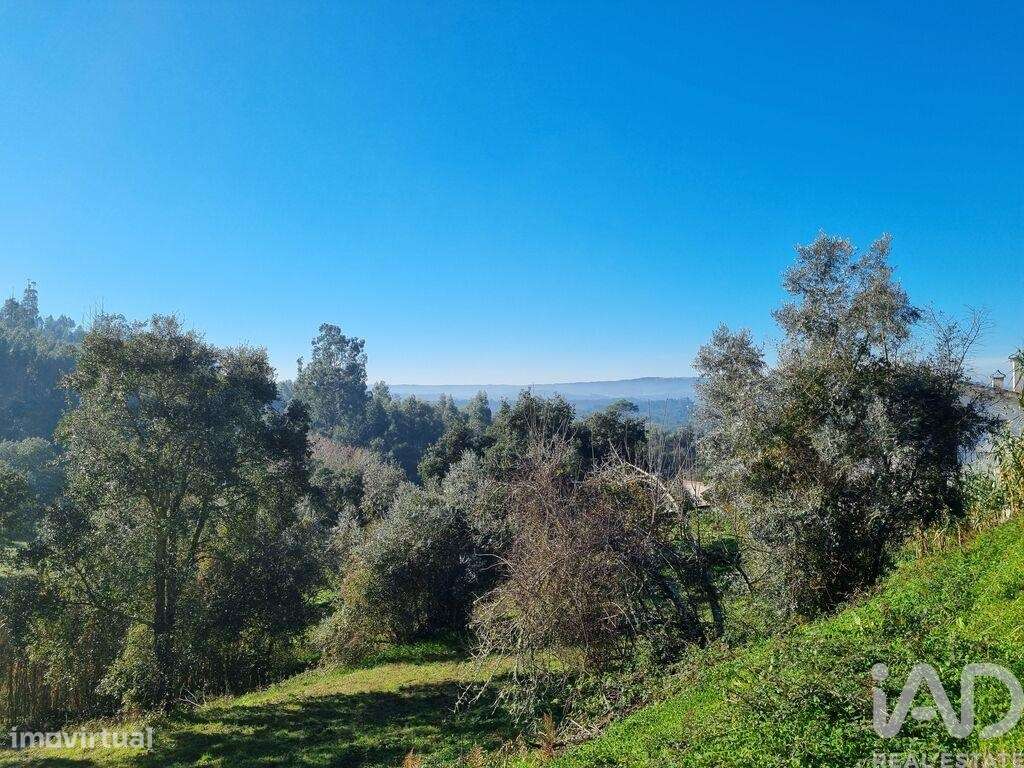 Terreno para construção em Poiares - Grande imagem: 4/40