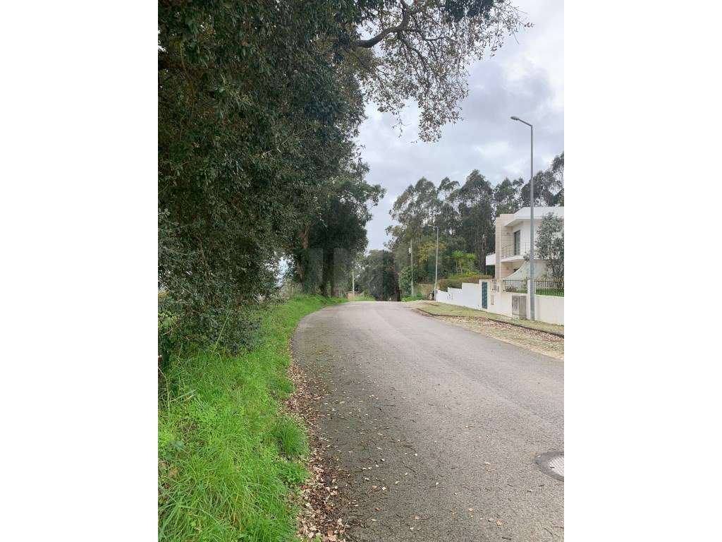 Terreno para construção, para venda, Caldas da Rainha - Grande imagem: 5/7