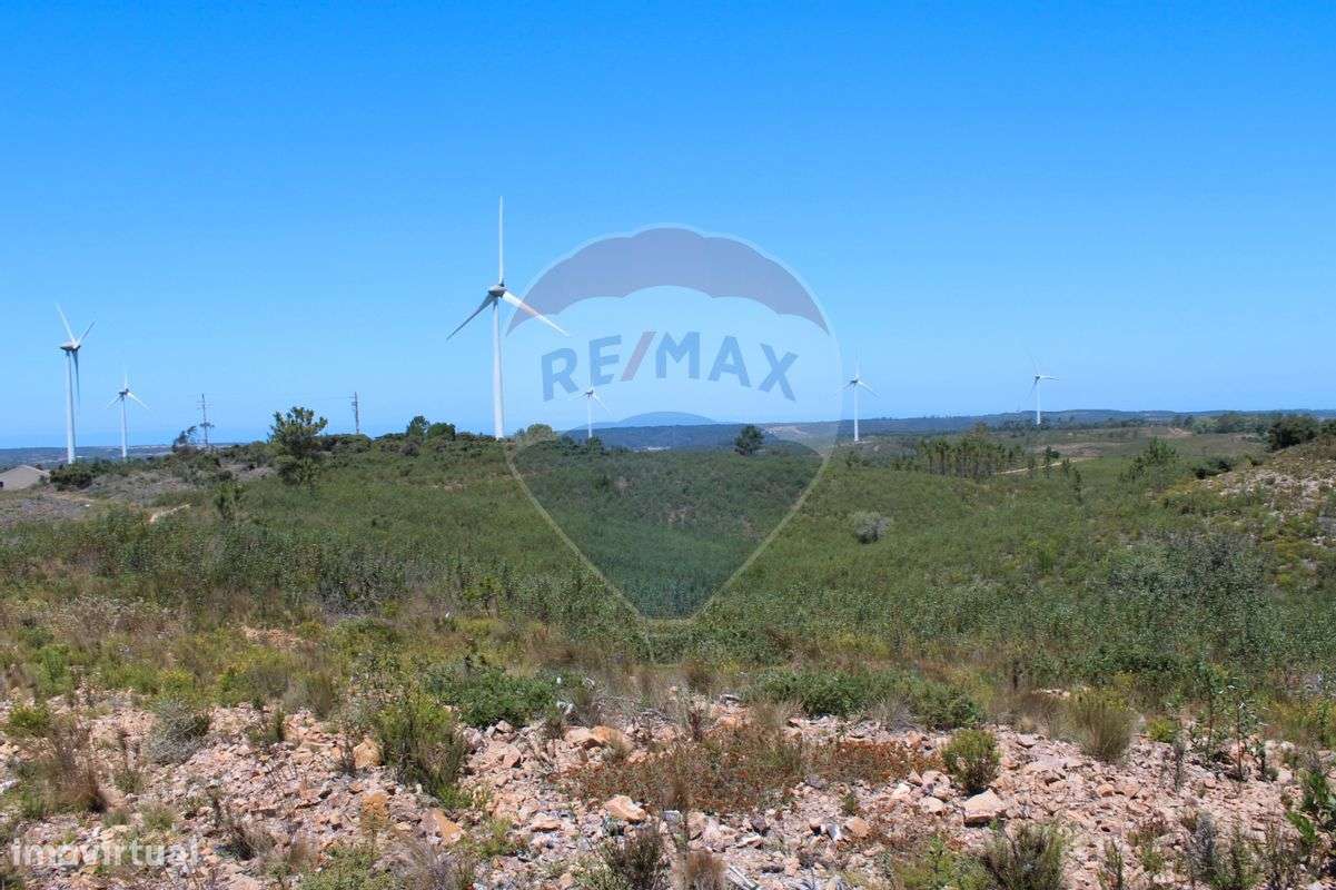 Quinta T5 para venda - Grande imagem: 4/18