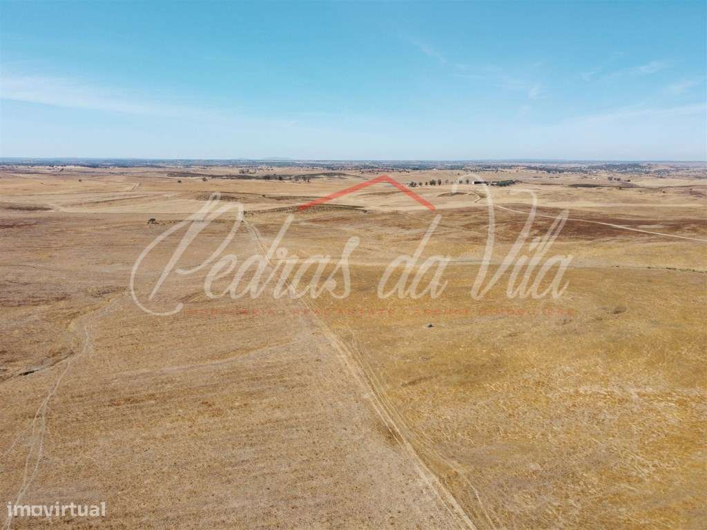 Propriédade de 119ha com varias ruinas - Castro Verde-39