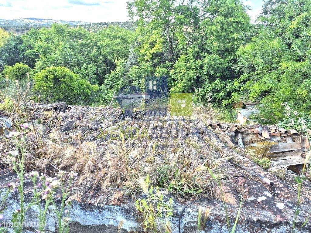 Prédio  Misto, com 0,7250 Ha | MOURA-19
