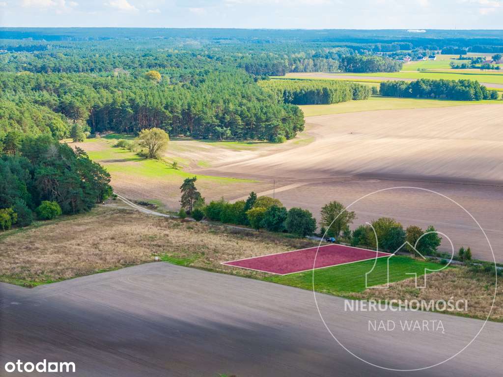 Działka budowlana w sąsiedztwie jez. Budziszewskie - Pełny obrazek: 3/7