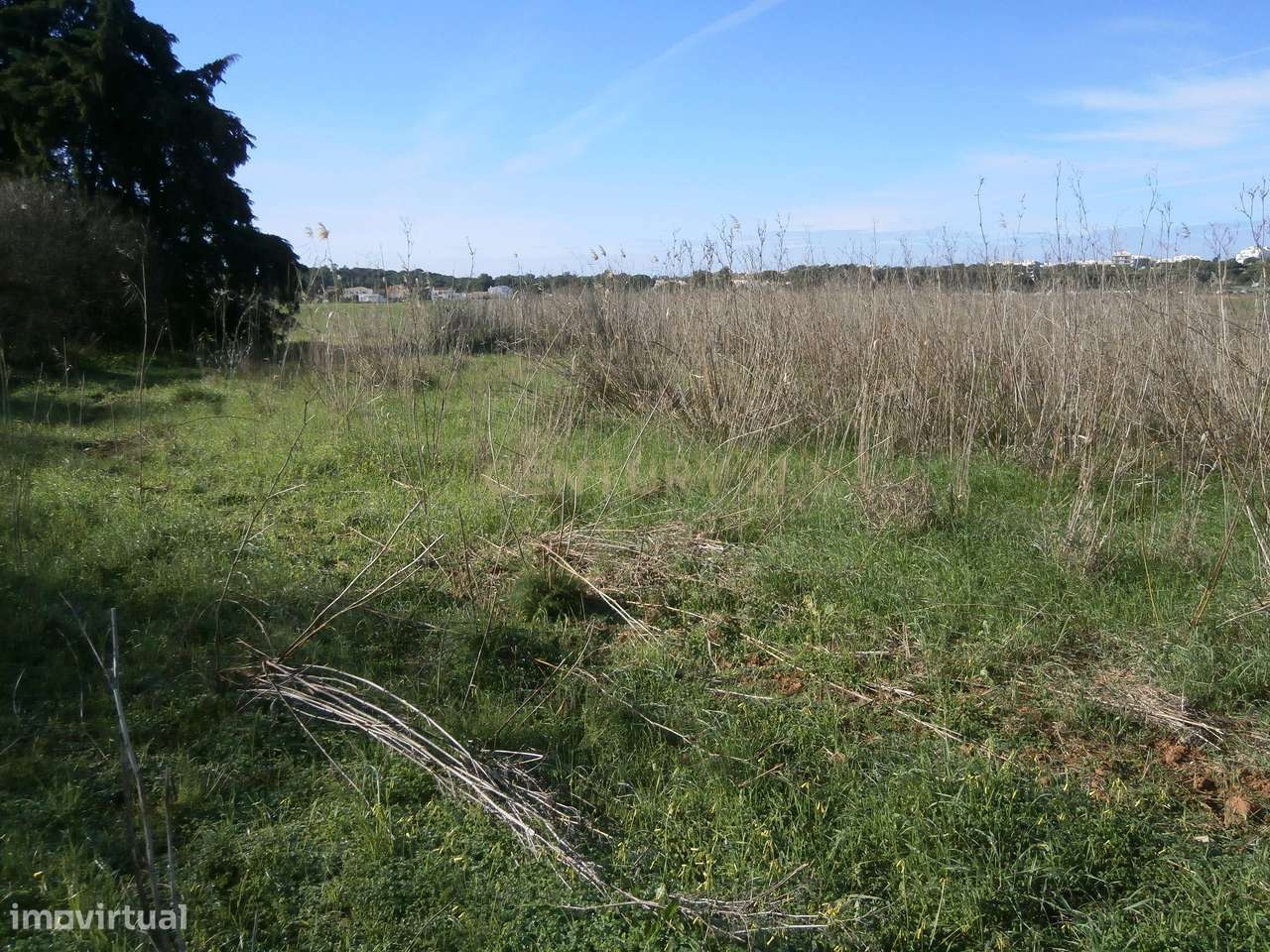 Terreno Rústico com 3340m2. - Grande imagem: 5/6