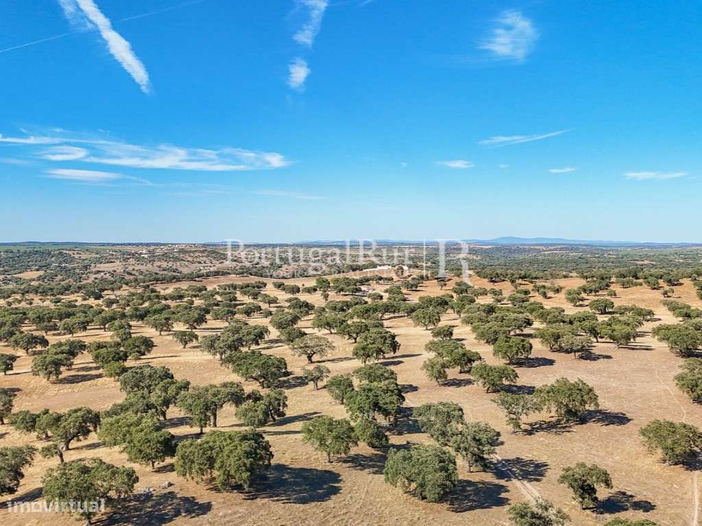 Herdade 80 hectares confinante com a Barragem-7