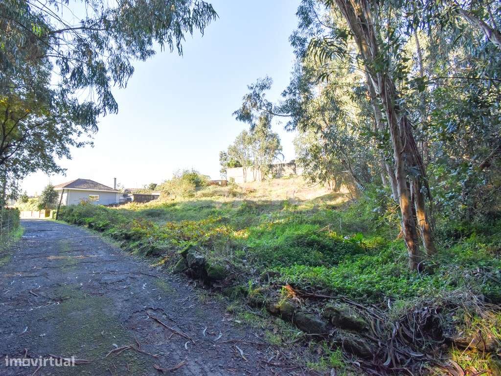 Terreno Milheirós para Moradias-9