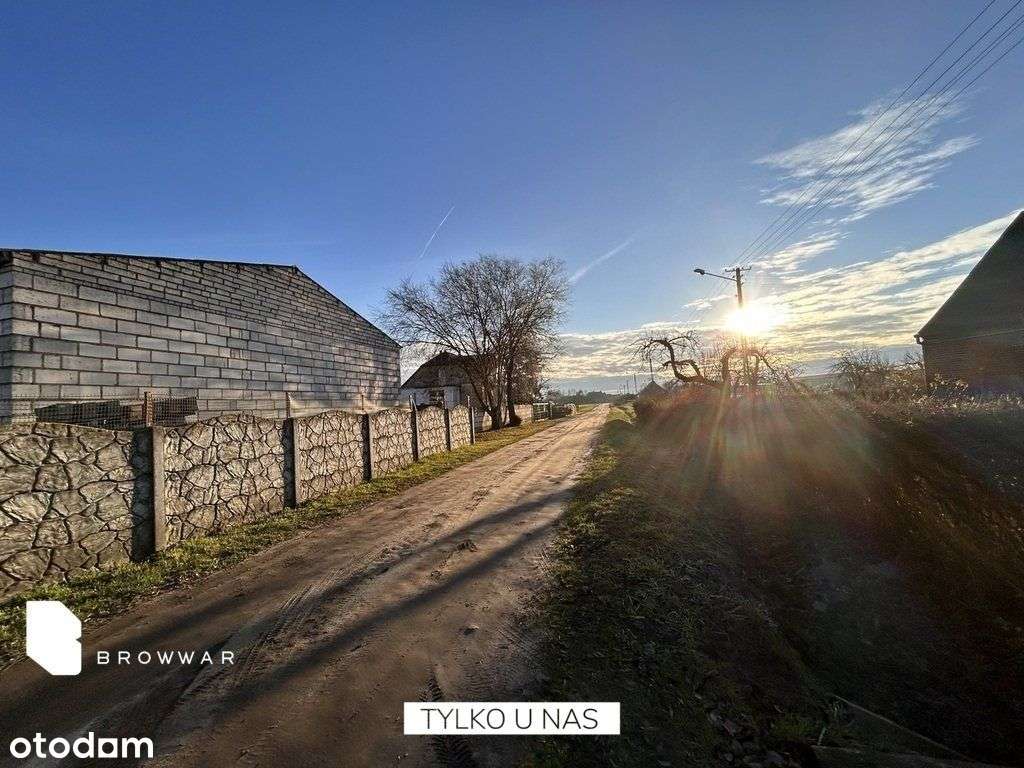 Działka siedliskowa 2,5ha, zabudowana z padokami - Pełny obrazek: 4/20