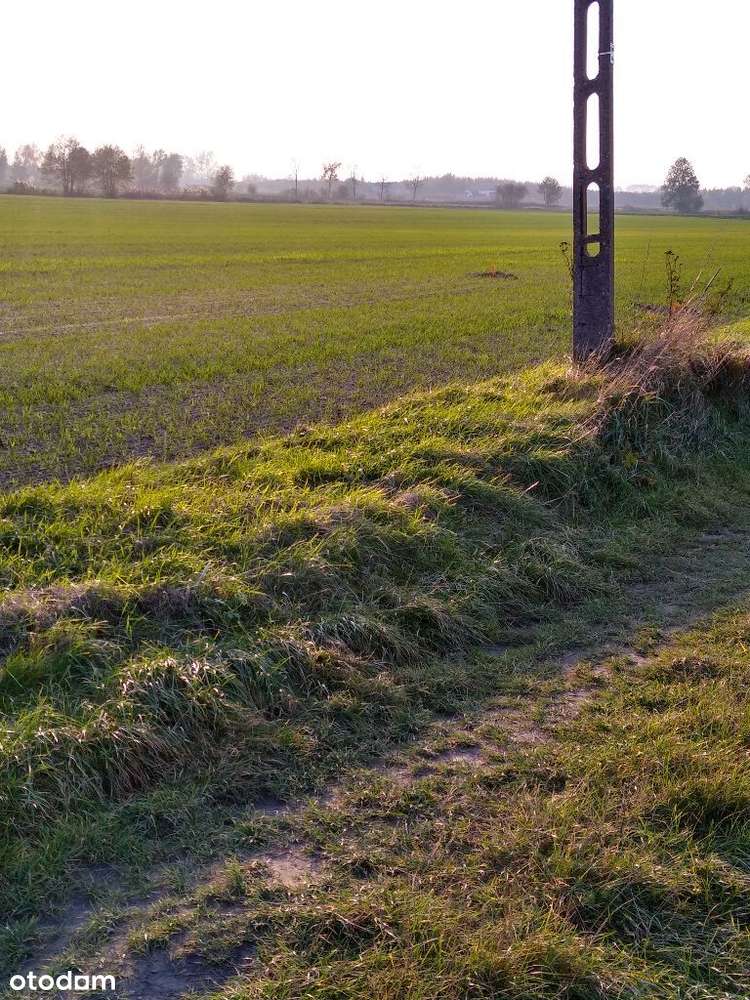 Sprzedam działki pod zabudowę jednorodzinną - Pełny obrazek: 5/8