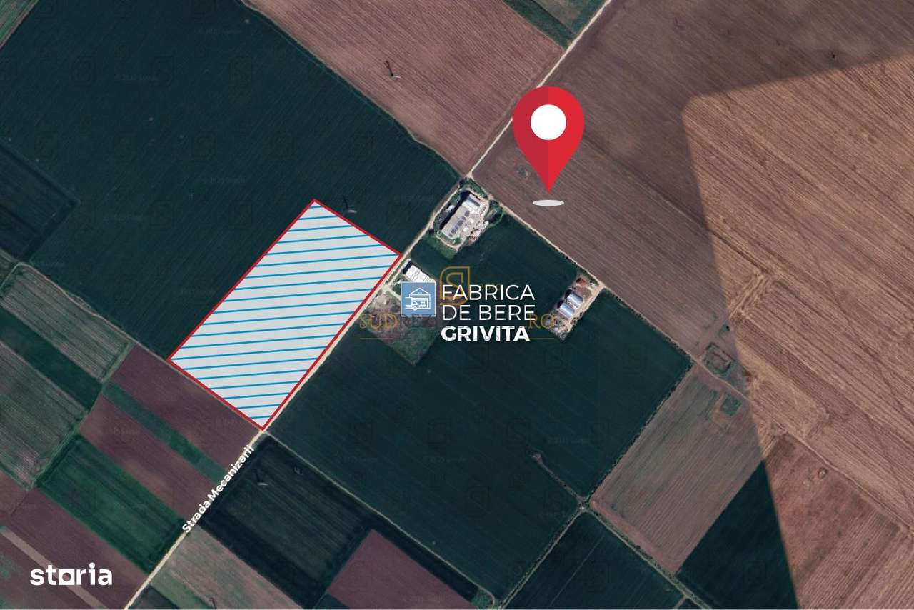 Teren extravilan 78.657 mp, deschidere de 480 ml, Popesti-Leordeni, If - Imagine principală: 3/5