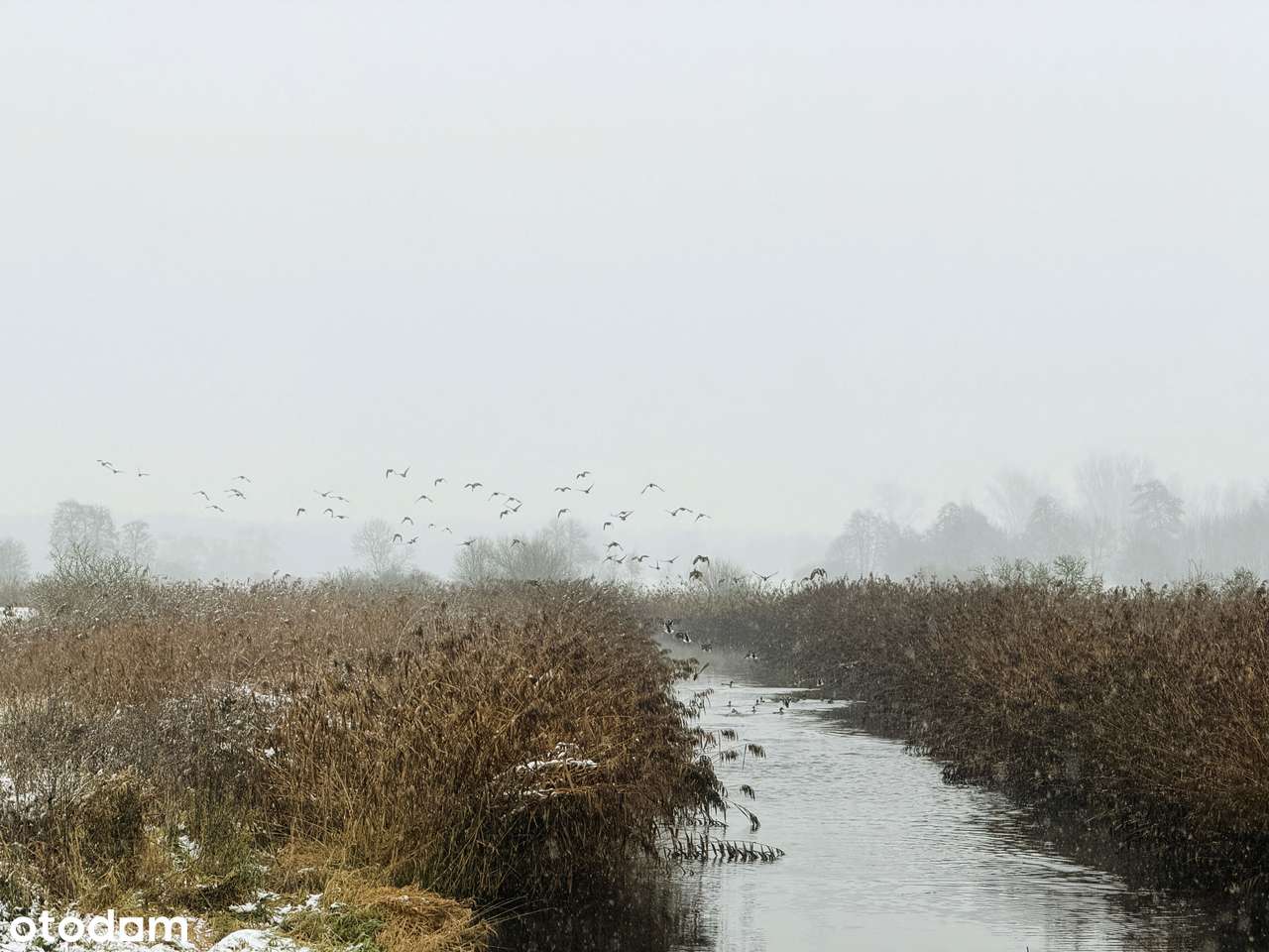 Działka budowlana 1358 lub 1774m² w MPZP; las, rzeka, prąd, woda-9