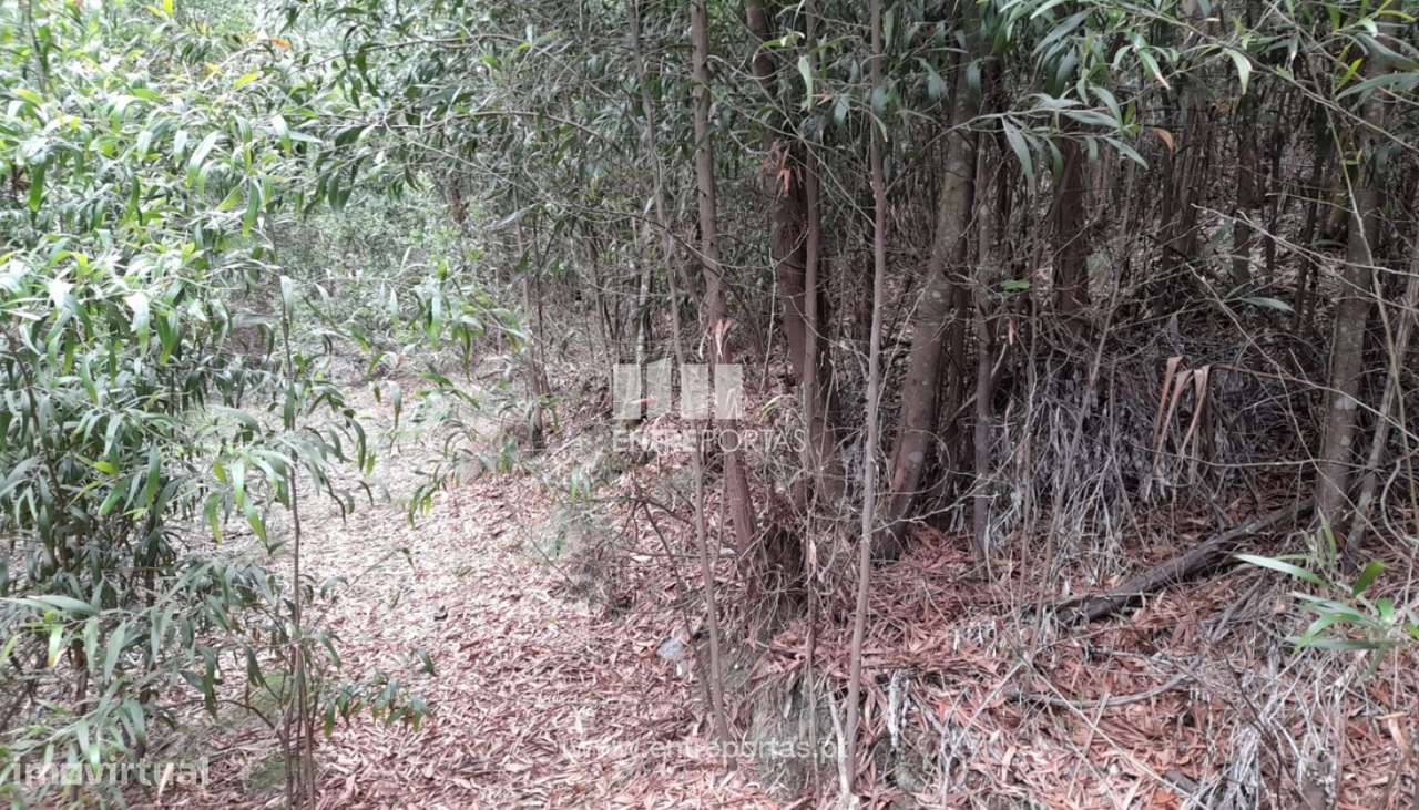 Venda Terreno, Vila Cova, Penafiel - Grande imagem: 4/15