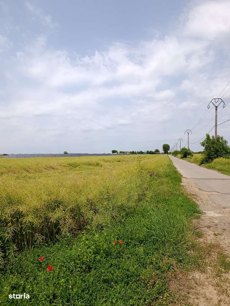 Teren 21.6ha, Ilfov-Nuci, P.U.Z. Hale, Investitie tip Greenfield. - Imagine principală: 2/10