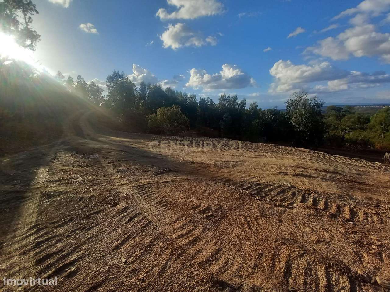 Terreno em Benquerenças, Castelo Branco - 2800m²-7