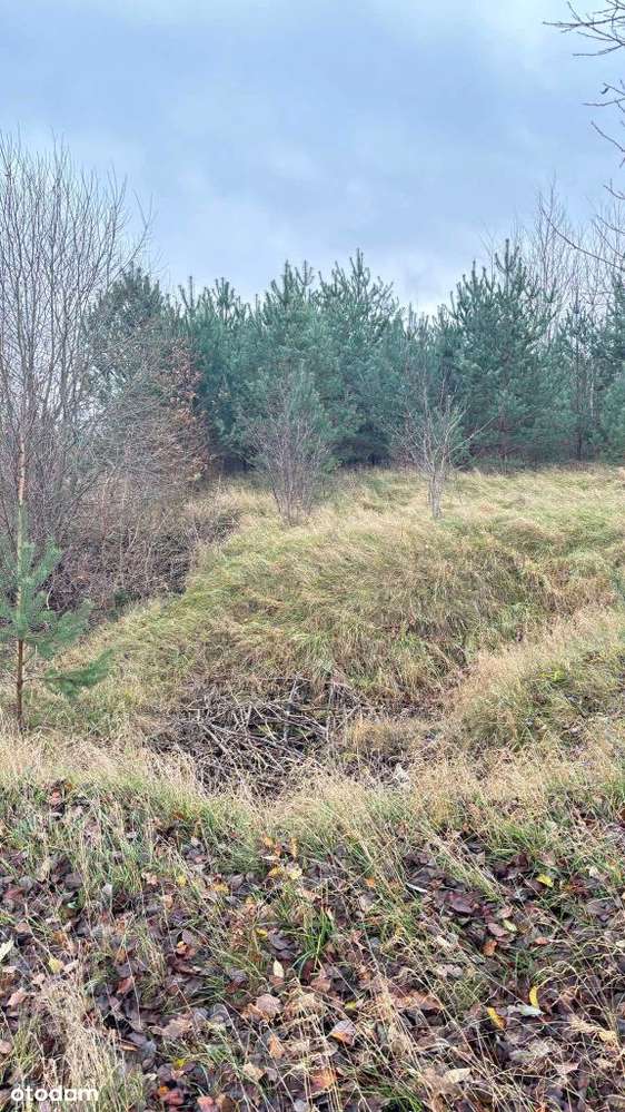 Działka w bardzo dobrej lokalizacji