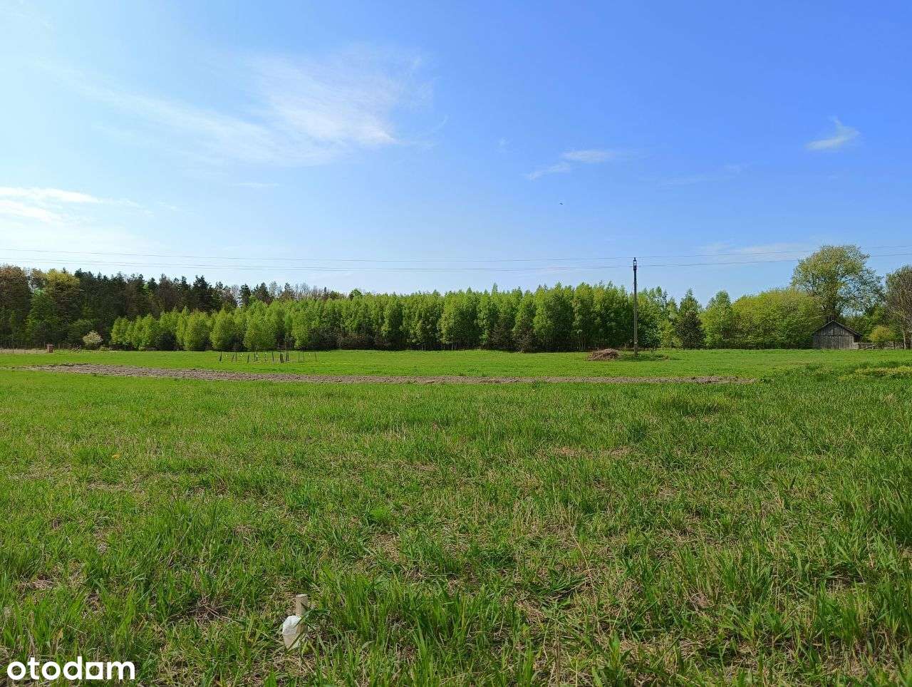 Działki na Roztoczu, 12 km od Zamościa, Kąty II - Pełny obrazek: 5/12