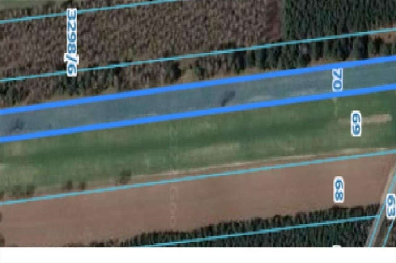 Działki rolne / leśne Dukt/Zalesie - Pełny obrazek: 5/8