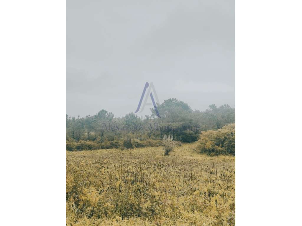 Terreno Rústico à Venda - 13.875 m² | Entre Aldeia do Meco e Azoia - Grande imagem: 3/5