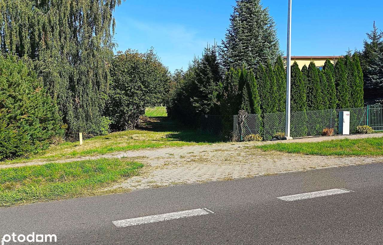 Działka budowlana przy krajówce, Płoskie - Pełny obrazek: 4/15