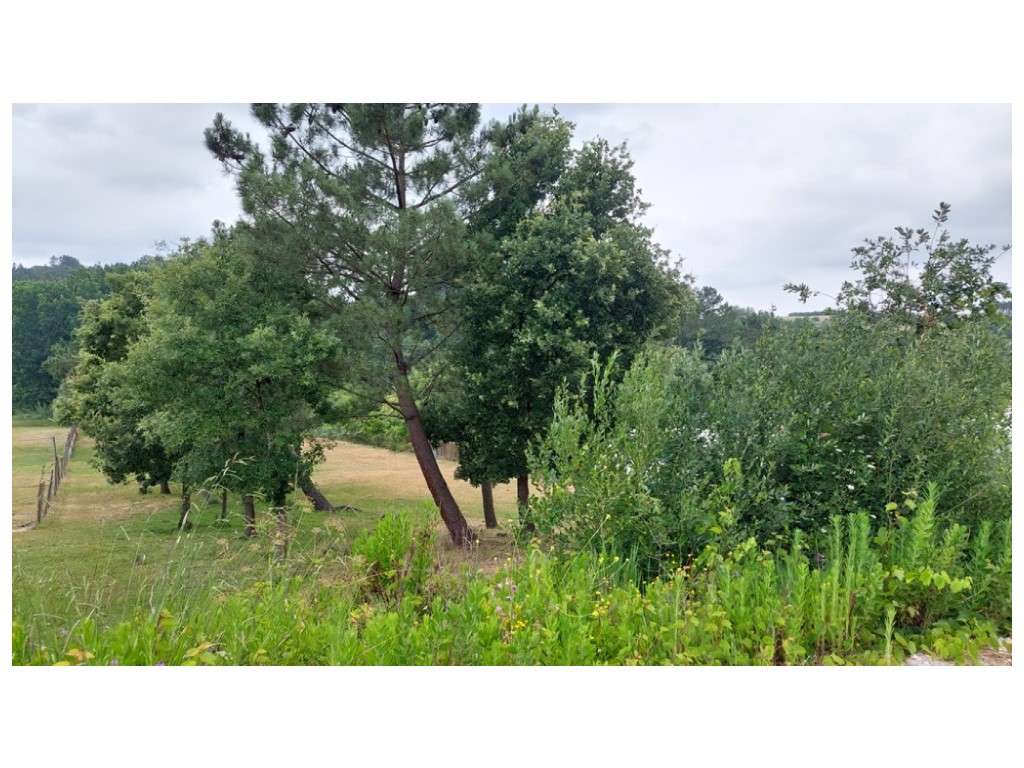 Terreno para construção a 4km do centro de Leiria. - Grande imagem: 5/10