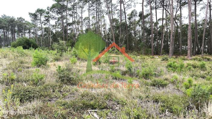 Terreno rústico com quintas em redor-3