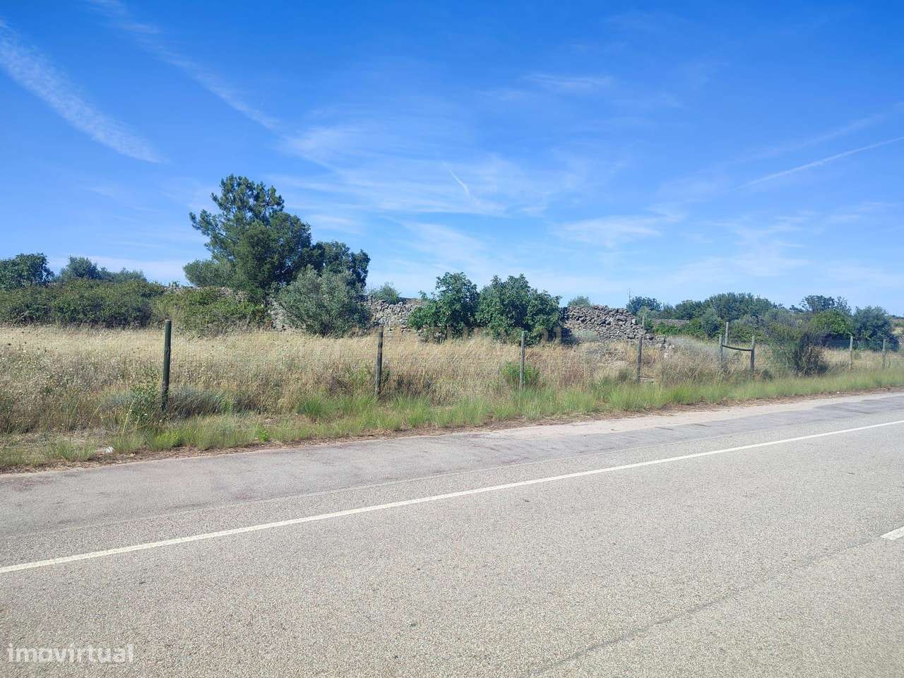 Terreno Rústico, Alcains - Grande imagem: 3/9
