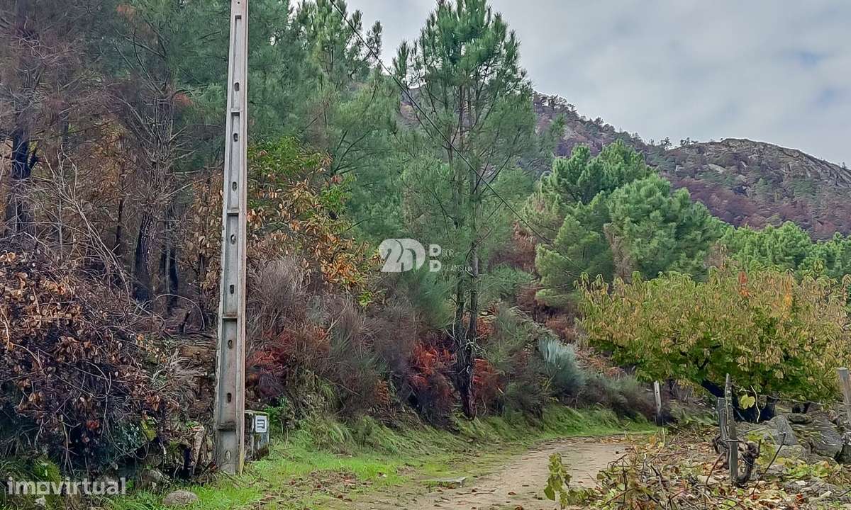 Terreno 15.844m² - Távora - Grande imagem: 4/11