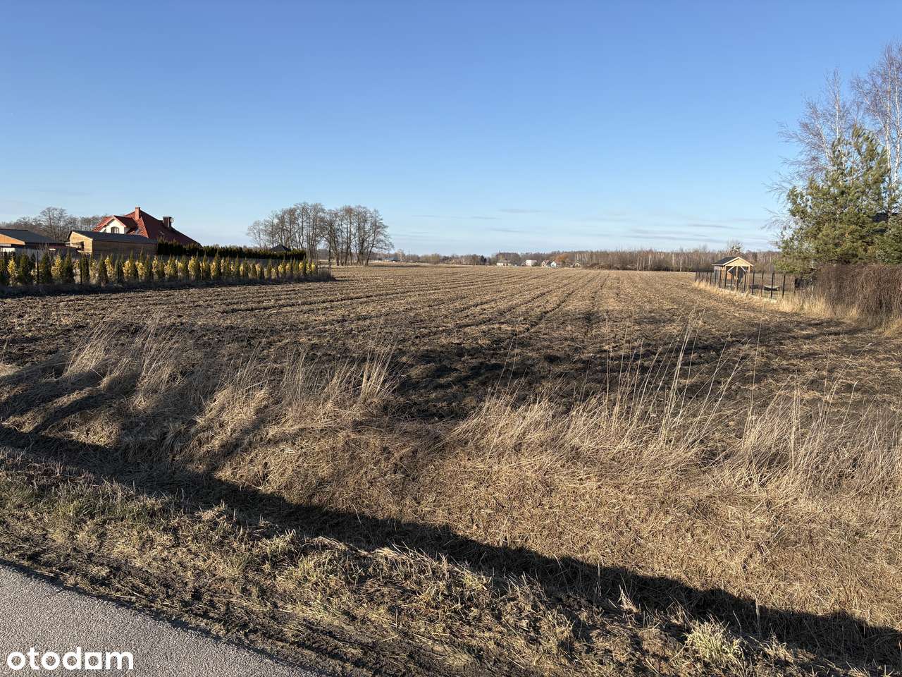 Działka budowlana 1500m2 | Aleksandria-4