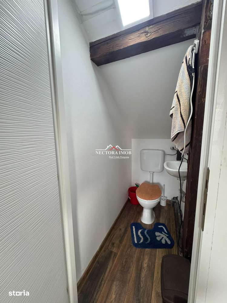 NECTORA IMOB-Spatiu comercial P+M, Ultracentral, Zona Piața Ferdinand-8