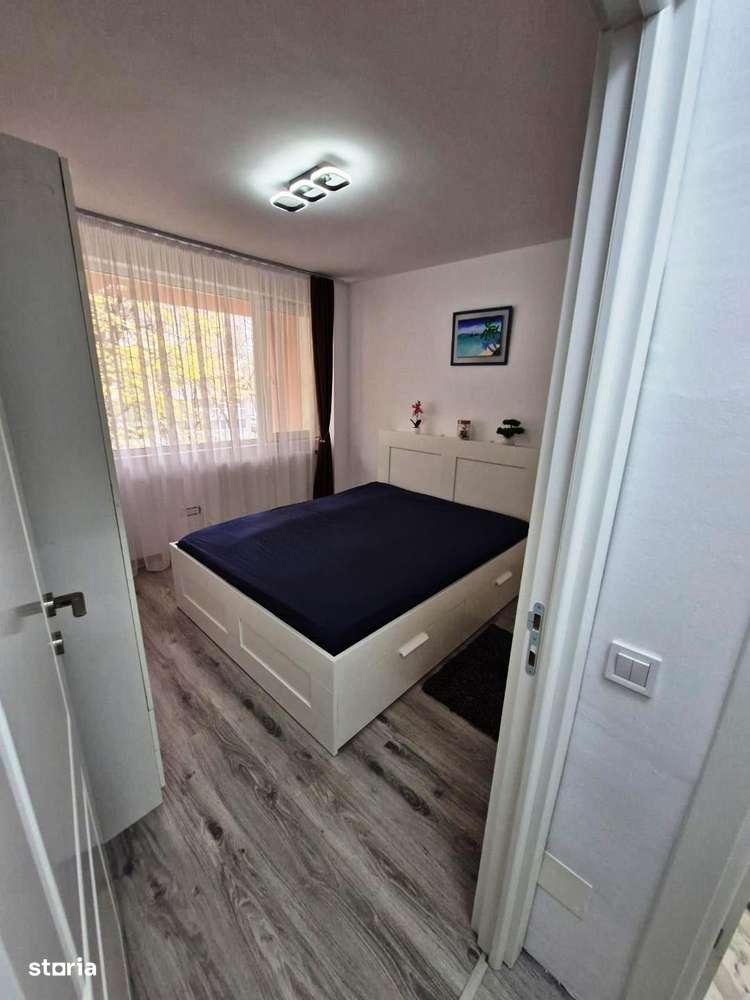 Baba Novac -Gheorghe Petrascu - Imagine principală: 4/17