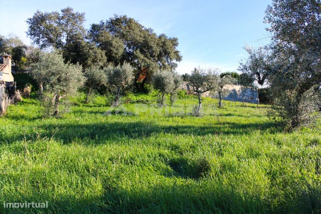 Terreno para Venda em Salgueiro do Campo - Grande imagem: 3/29