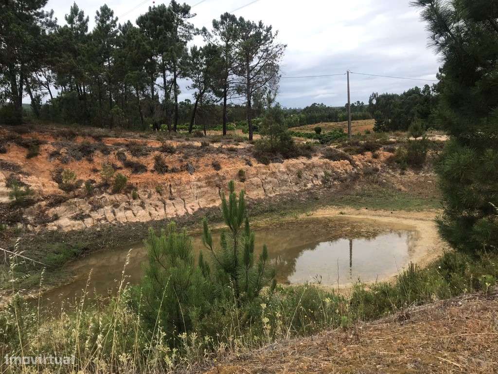 Quinta com casinha na Chancelaria, Torres Novas-16