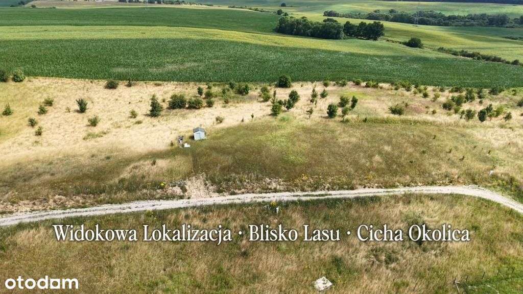Piękna działka w Czepinie-2