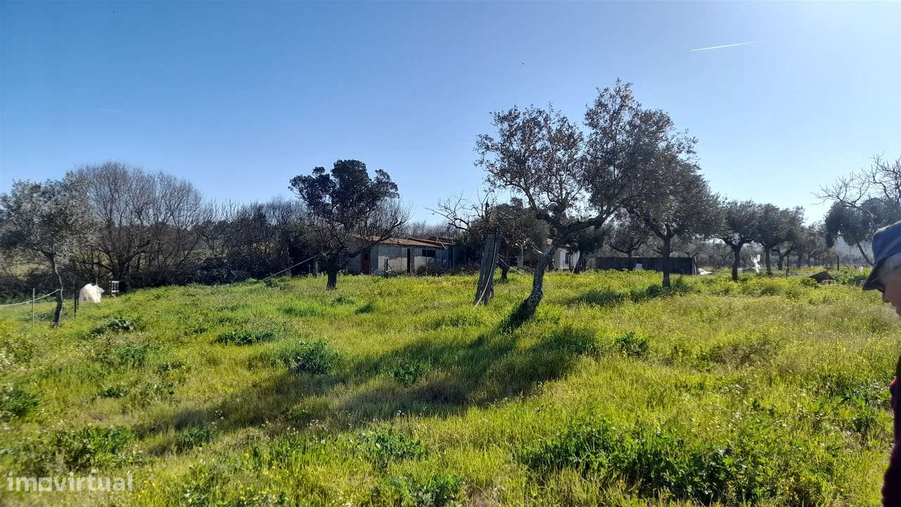 Quinta T0 Venda em Vila Velha de Ródão,Vila Velha de Rodão-7