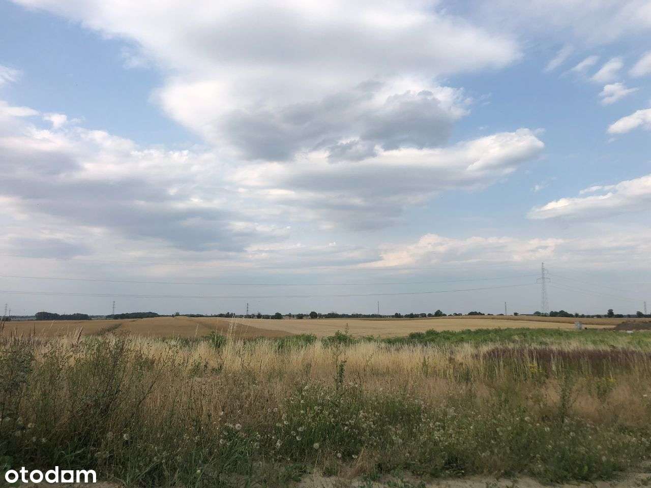 Działka Tarnowo Podgórne - Pełny obrazek: 4/7