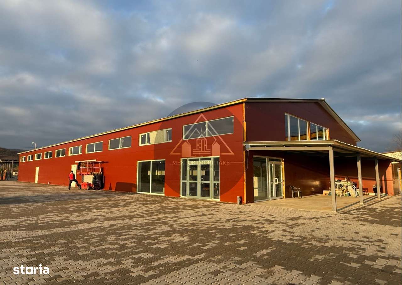 Hală de inchiriat, Medias - Imagine principală: 4/15