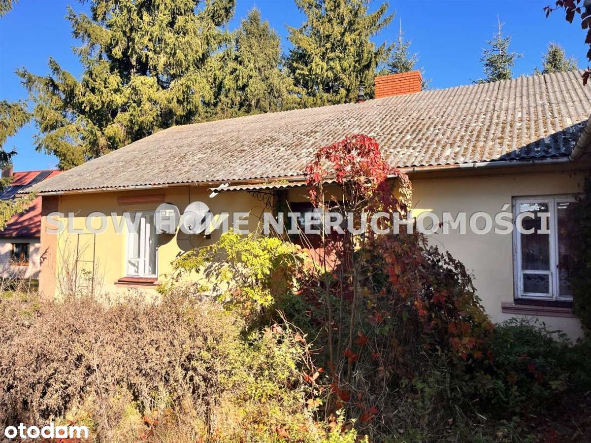 Dom z dużą działką 33 ar ! - Pełny obrazek: 5/8