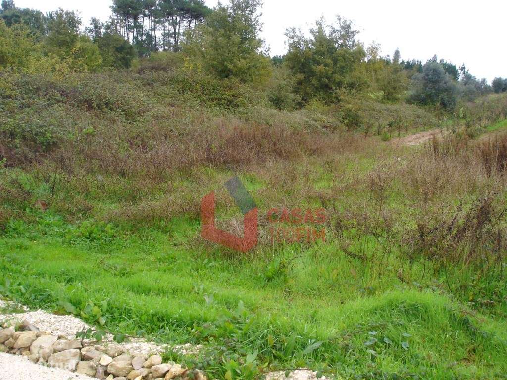 - BAIXA DE PREÇO - Terreno com 2880 m2 com bons acessos. - Grande imagem: 3/3