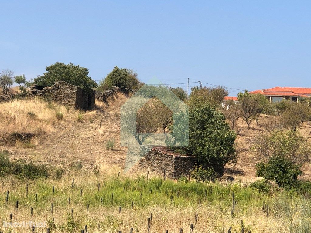 Terreno para venda em Vila Nova de Foz Côa