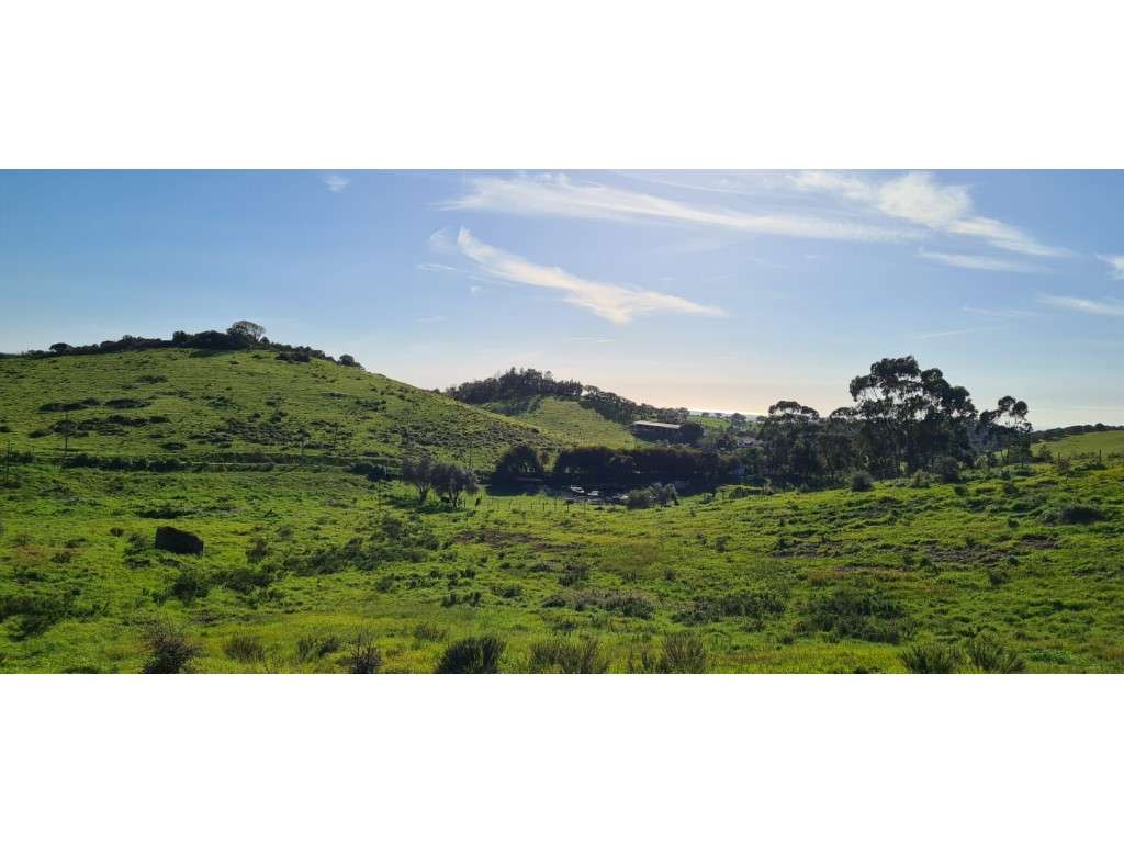 Quinta perto de São Luís - Grande imagem: 2/10