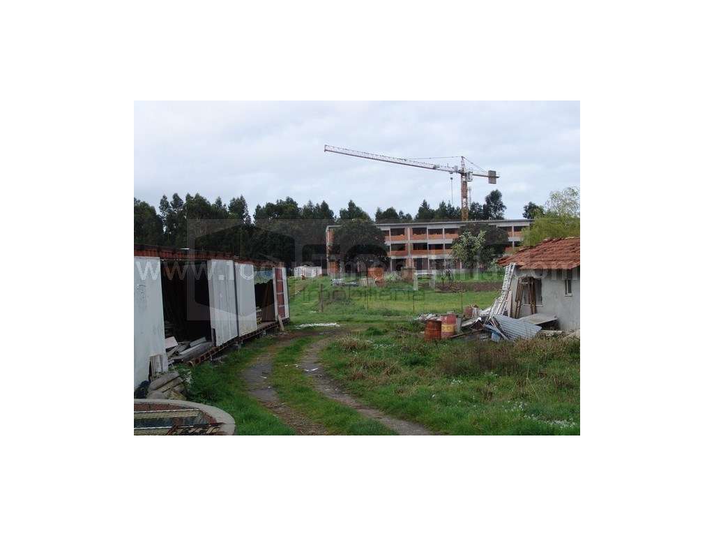 Terreno com moradia para venda - Esgueira - Grande imagem: 5/6