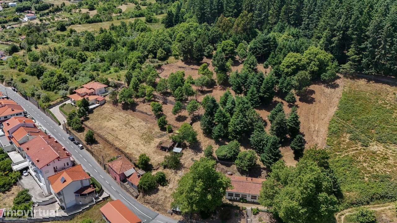 Quinta 7.438 m² em Lamego, Moradia em Pedra, Investimento de Futuro-13