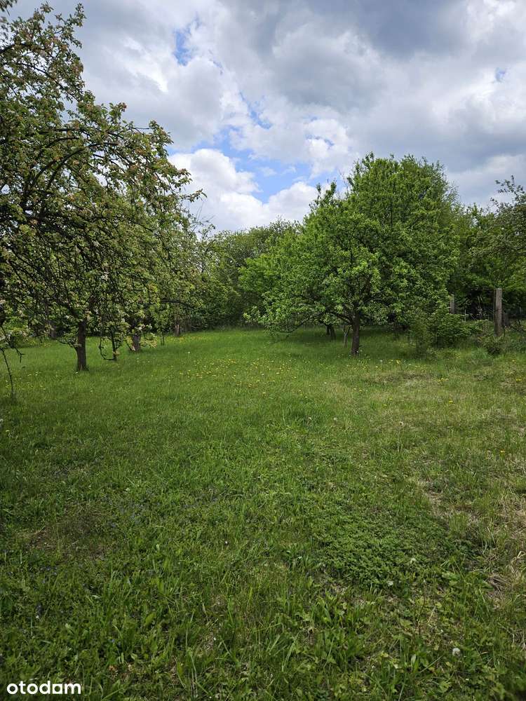 działka w Wysokiej, ogrodzona, media przy działce - Pełny obrazek: 4/4