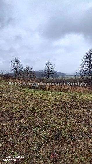 Pięknie położona działka w Bieszczadach-8