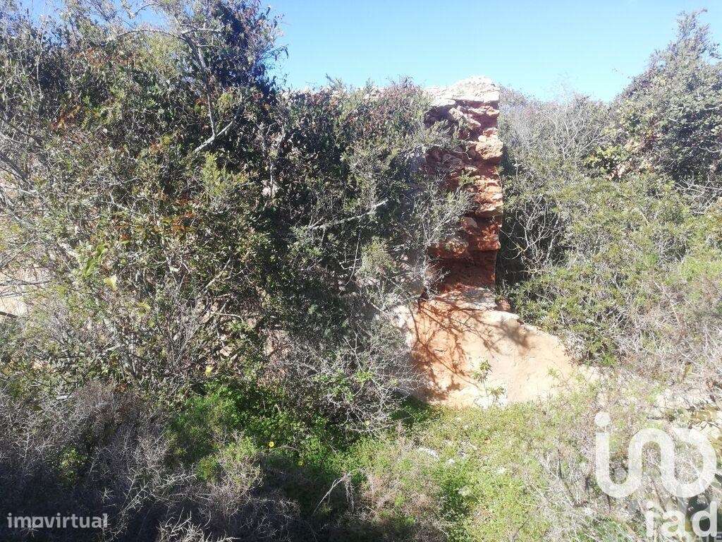 Terreno Agrícola em Porches - Grande imagem: 5/23