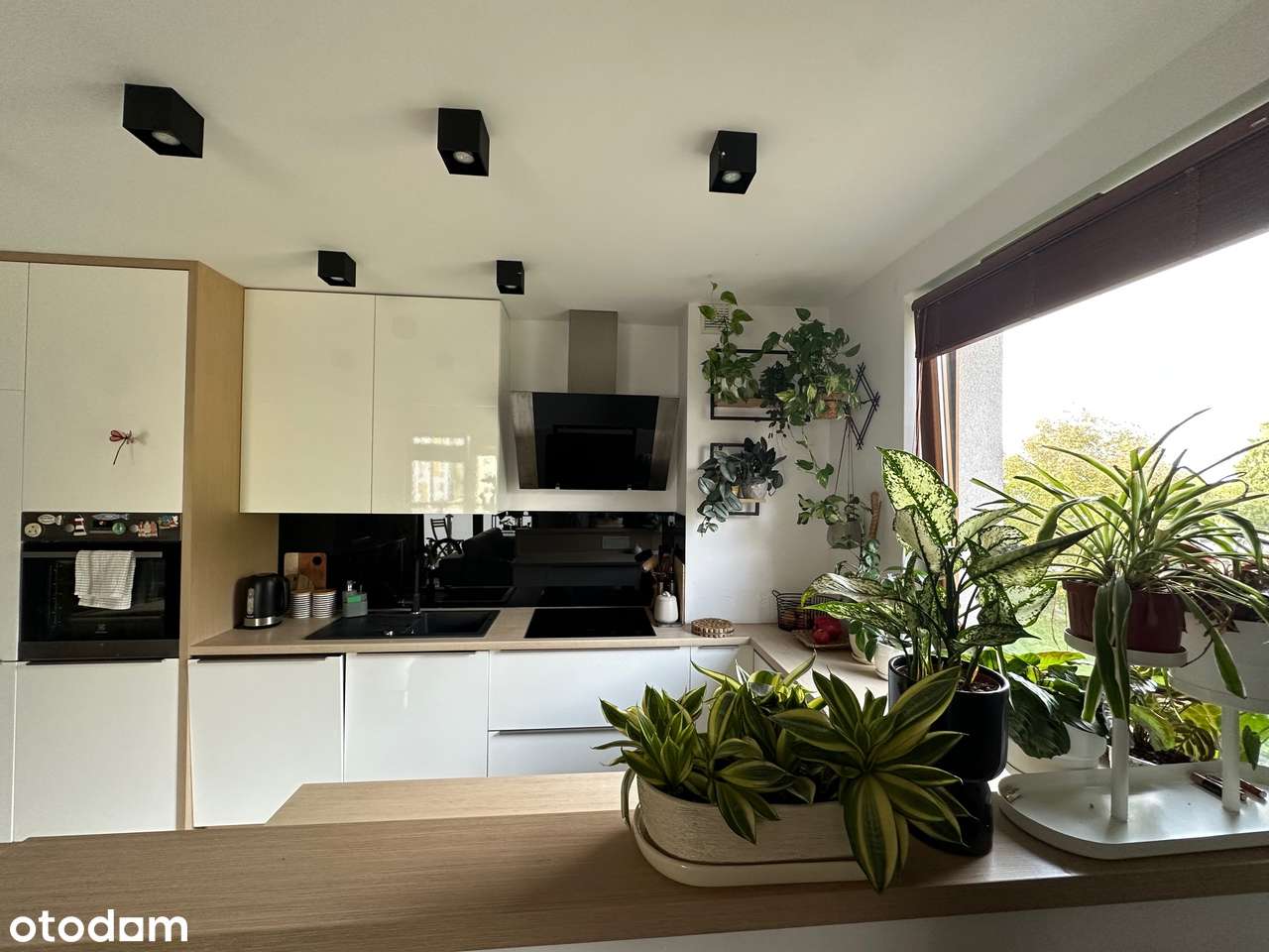 Rezerwacja 3 pokojowe mieszkanie w nowym bloku Wrzosowiak 1 piętro-3