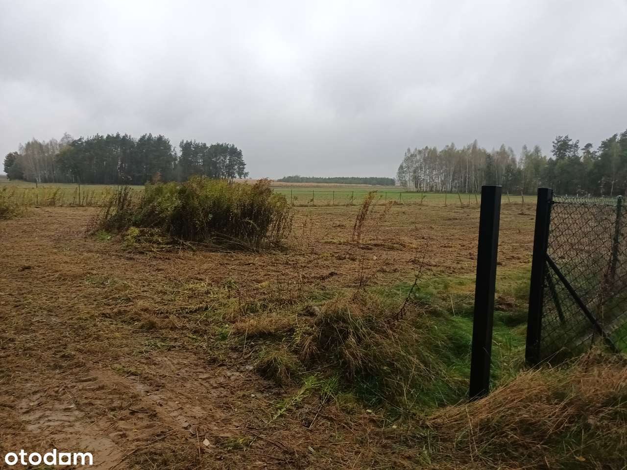 Malownicza działka pod lasem - Pełny obrazek: 3/10