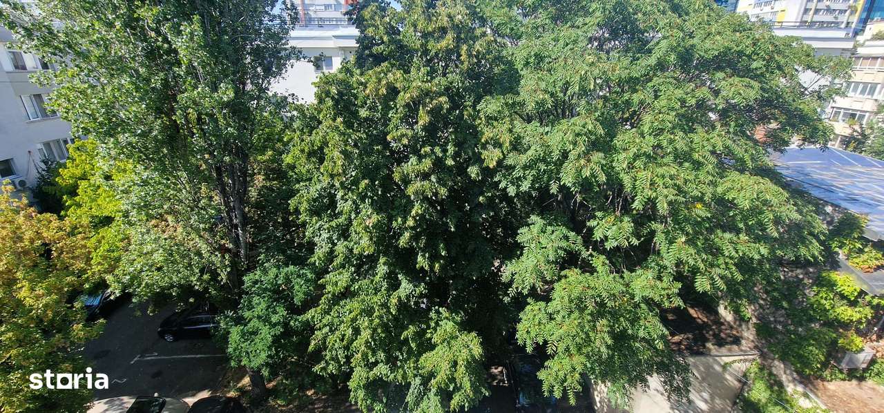 Dorobanti - Radu Beller-17