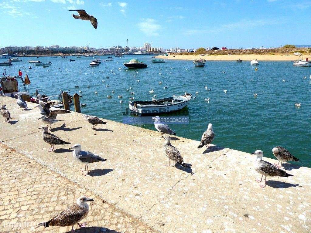 Hostel aprovado p/ construção, 20 quartos. Portugal, Ferragudo, Alg... - Grande imagem: 4/7