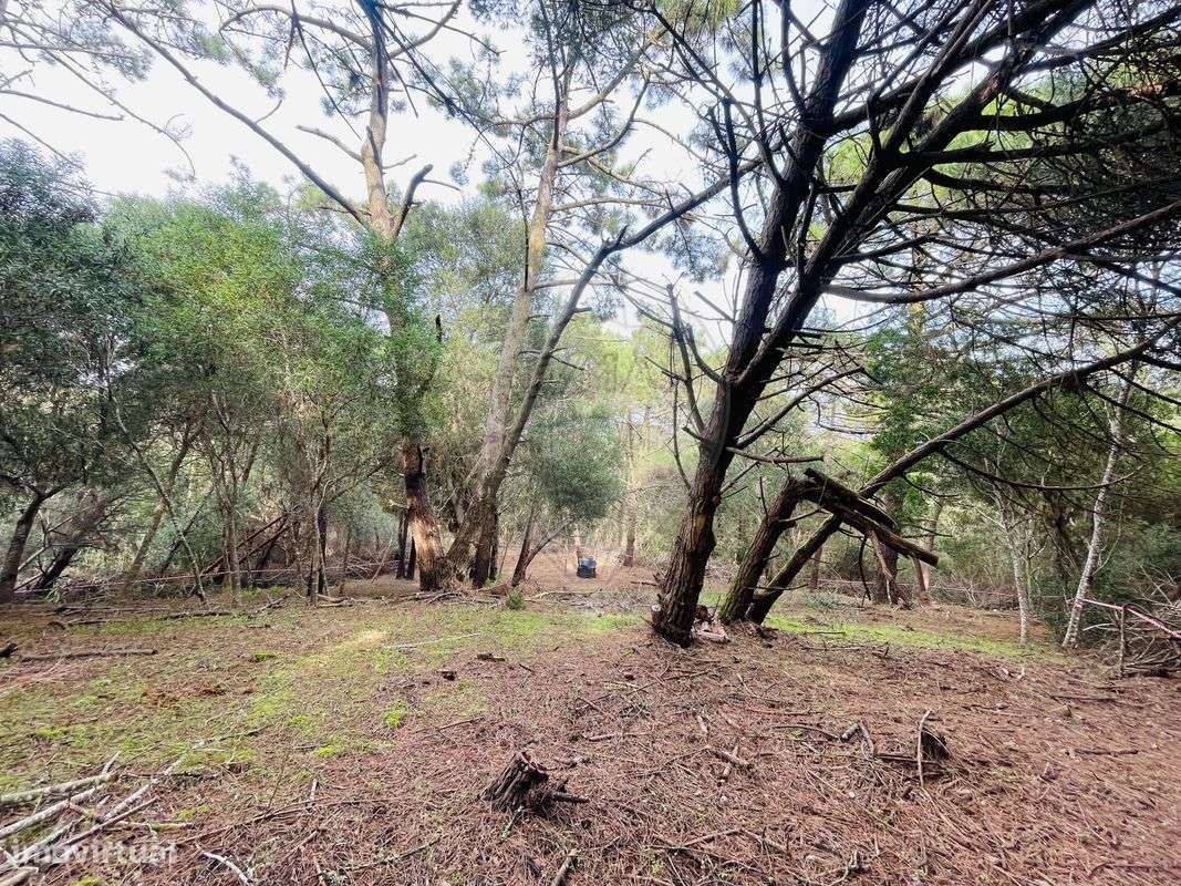 Terreno  para venda - Grande imagem: 4/6