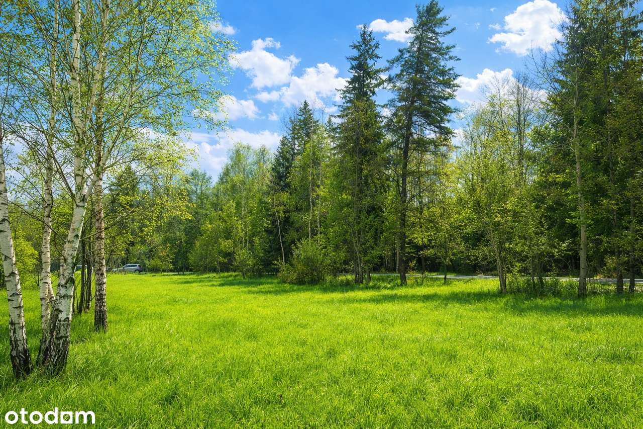 Drewniany dom w Sopotni Wielkiej – cisza, natura i górski klimat-1