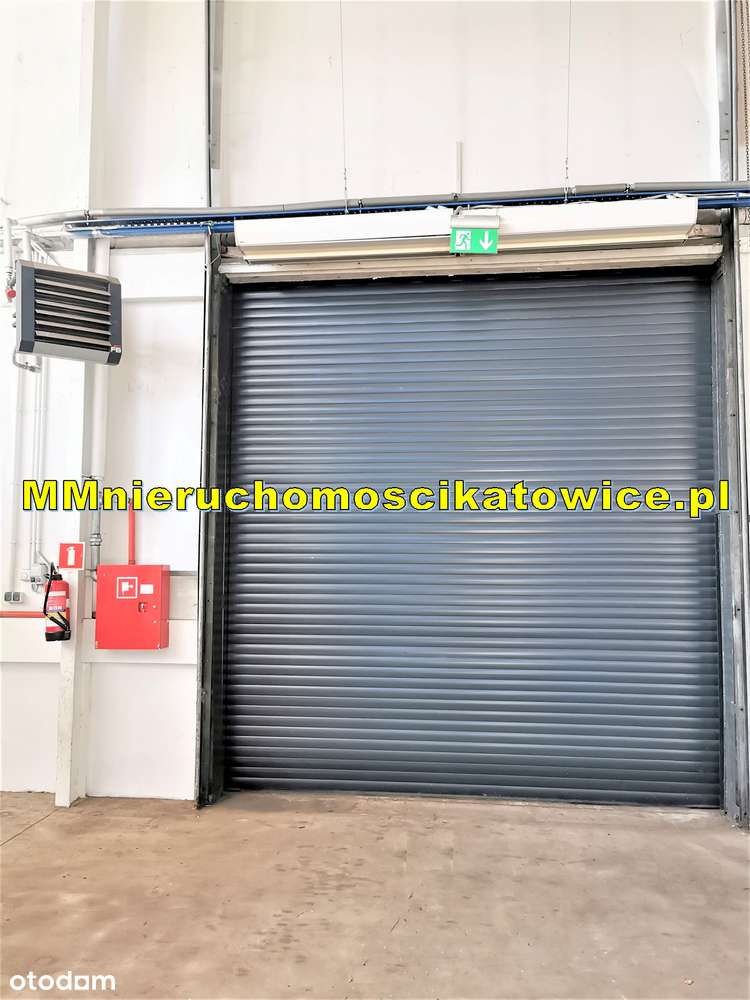 Hala produkcyjna do wynajęcia Radzionków 2 suwnice biura, socjal. - Pełny obrazek: 4/14